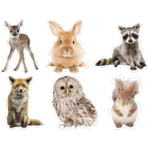 ANIMALS COLORFUL CUT-OUTS (ASSORTED)