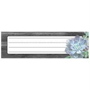 SUCCULENT DESK NAMEPLATES