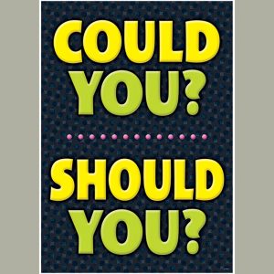 COULD YOU? SHOULD YOU? ARGUS POSTER