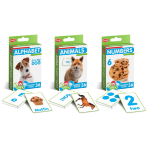 BASICS FLASHCARDS
